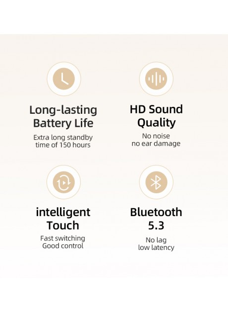 ROCK EB900 TWS Bluetooth Earphones