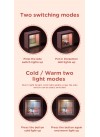 Doraemon Mini Frame Night Light Blue / Pink