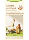 Crayon Shinchan Desktop Foldable Phone Stand with Ornament - Bear